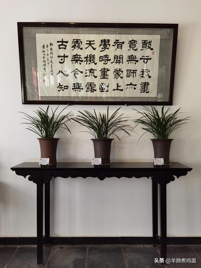 未等冬寒至 梅已報春香——北京中山公園臘梅提前綻放 盡顯芬芳