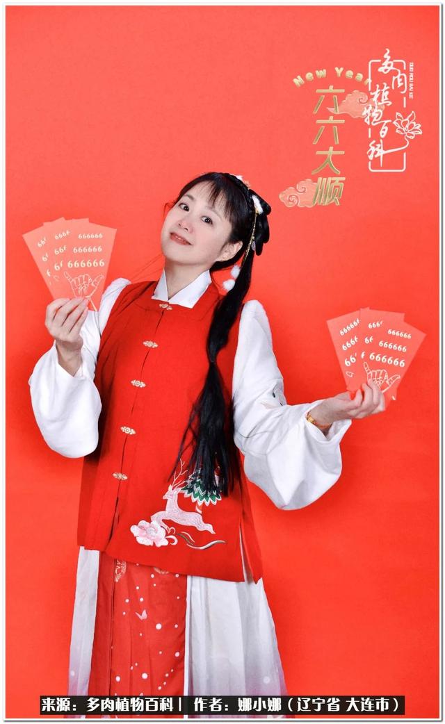 辽宁螺旋洗砂机出售