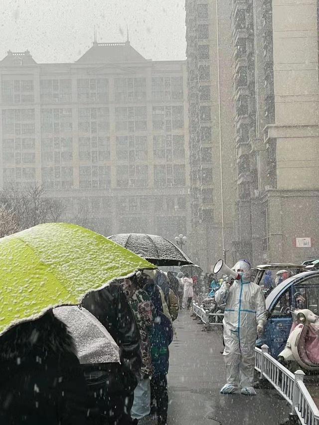 ［抗疫诗］许振东 ‖ 十五点四十八分的雪