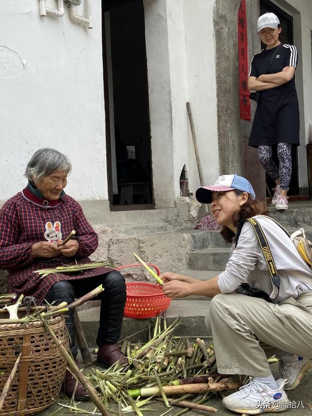 鹅毛竹 鹅毛竹（鹅毛竹图片） 生活