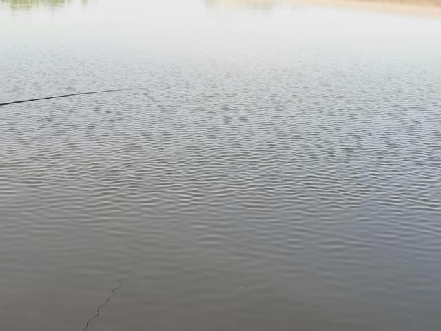 游走黄河边