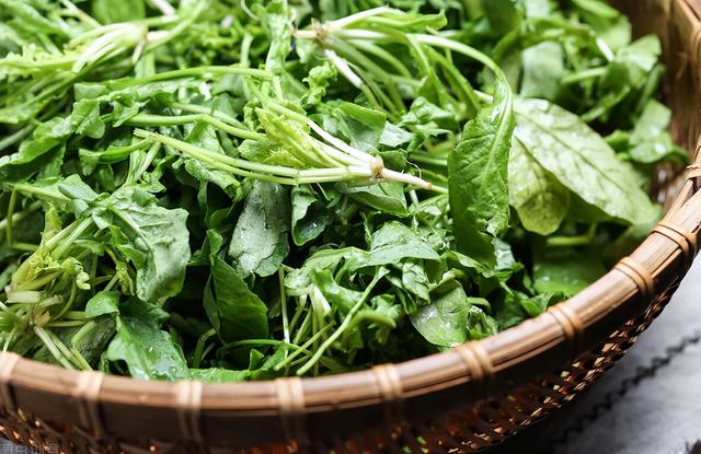清明前后，家中要多做这3种野菜，孩子吃不够，补充营养长得快