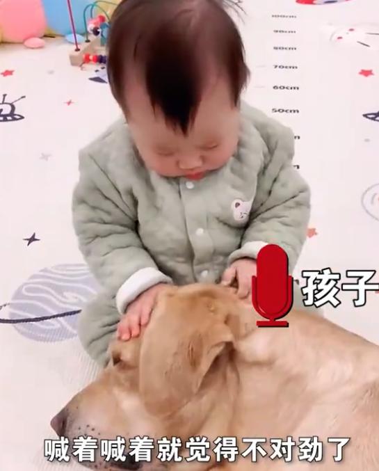 江苏一萌娃第一次喊“爸爸”，却是对着狗狗喊，爸爸心里五味杂陈