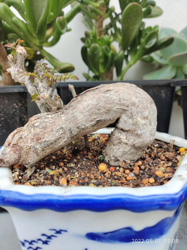 只为今天变化