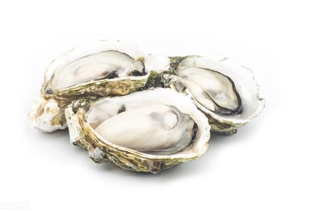 适合孕妈妈的食物之猪肉、牡蛎