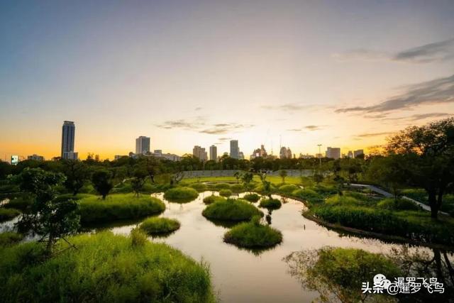 泰國旅行新打卡地：曼谷綠肺中央公園完工，市中心的湖景森林濕地