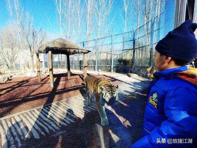 北京冬天团建的地方