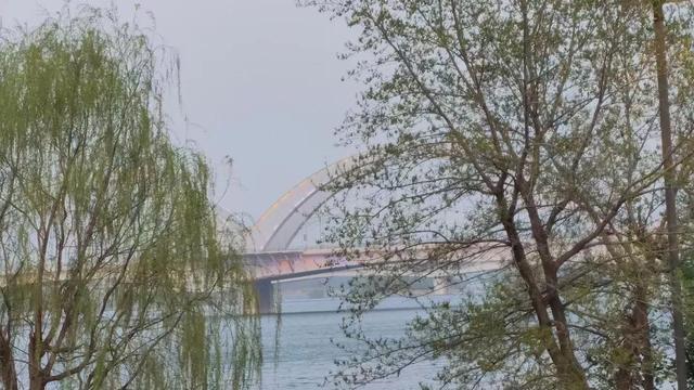 炫耀是自卑、无能和不成熟的表现，真正有实力的人从不炫耀自己
