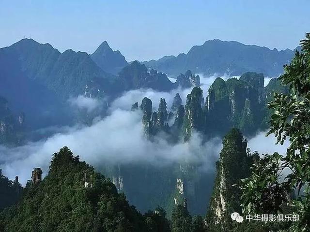 太美了！金奖摄影作品欣赏——