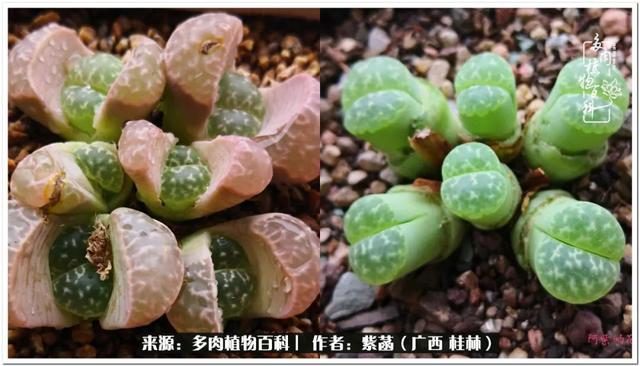郑州新型泥土洗砂机