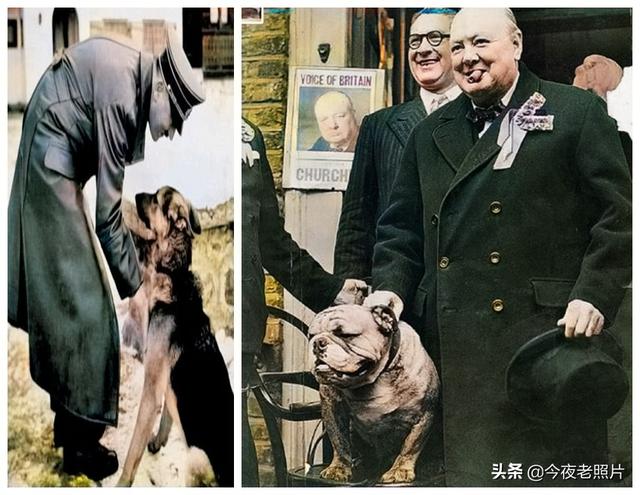 23张罕见照：日军跪在路边向妇女乞讨，德军吃剩的马蹄堆积如山