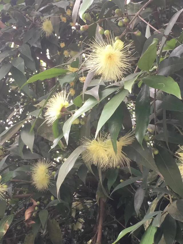 时间真快 又到了花开的季节 走一波 Zh中文网