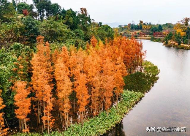 金堂光霧山！私藏在這處公園裏的冬日幻境