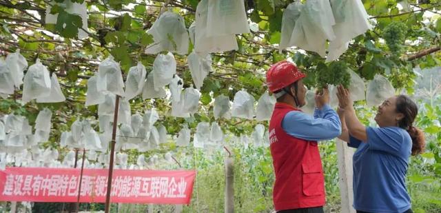 离心过滤机怎样接电