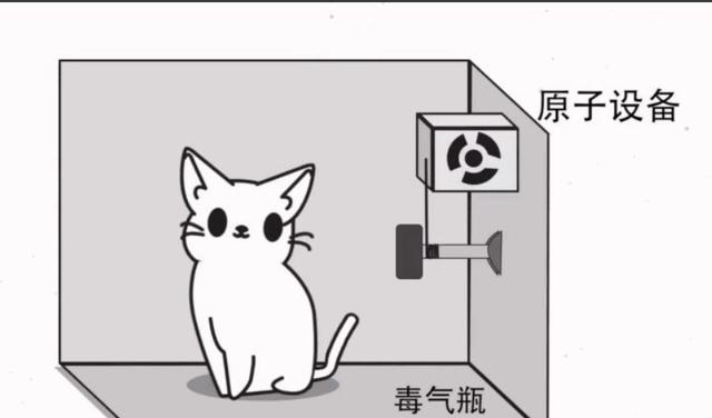“薛定谔的猫”揭示了一个细思恐极的真相：难道是意识决定物质？