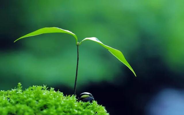 一场疫情，让我们顿悟了人生无常，看清了许多道理