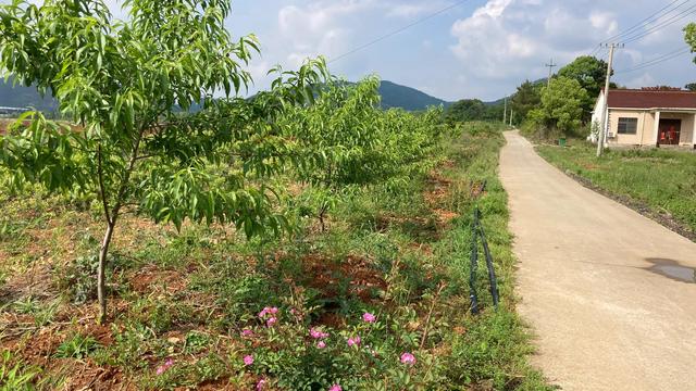 用一颗热爱生活的心，打造自己想要的乐园，余生过自己想过的生活