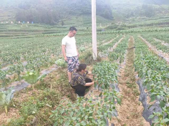 贵阳破碎机市场在什么地方