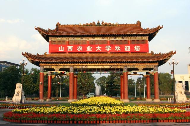 艺术类大学