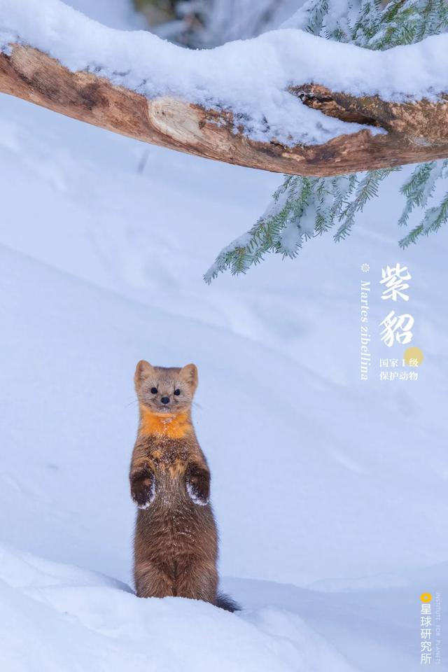 甘肃洗风化砂机哪里卖