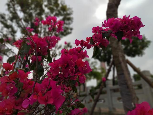 立夏修行德与才