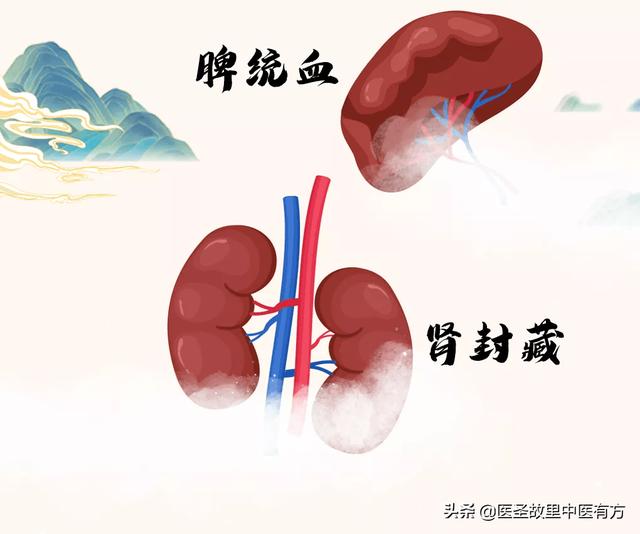 治贫血中医小妙方，再生障碍性、缺铁性、溶血性贫血皆可用