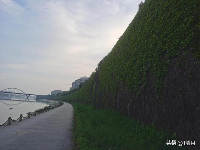 不孝子的伤感