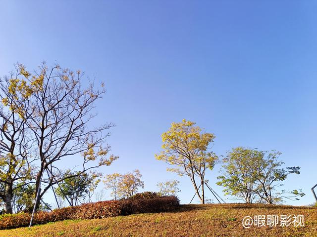 生完孩子后我起码老了20岁