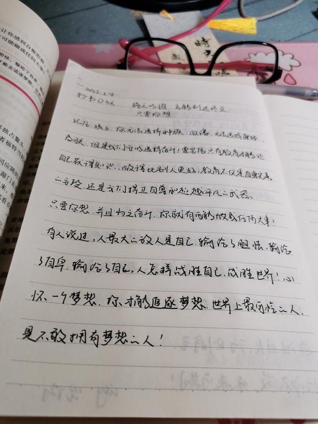 夹缝重生 只要你想 哪里都是肥沃的土壤 生根发芽