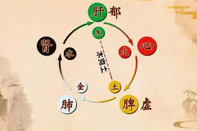 肚子响，总放屁，典型的肝郁脾虚，中医四种方法调理肝郁脾虚