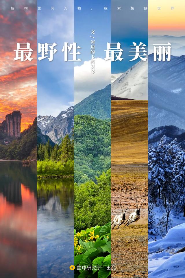关于黄石洗砂机哪家便宜的信息