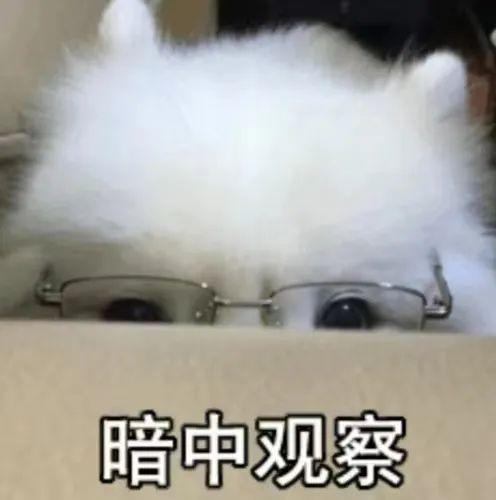 优微推荐丨我想做这样的人