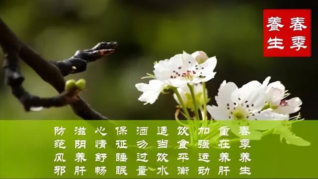 今天你的心情好吗——春日生活话养肝