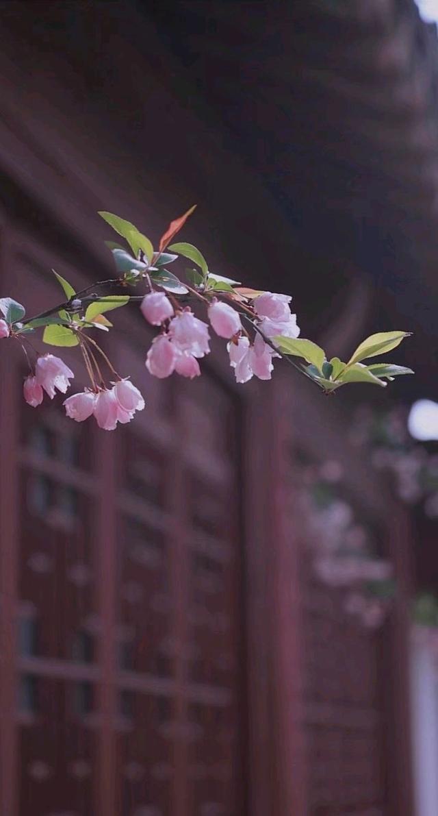 散文：余生最好的状态，就是善待时光，淡然而知足地度过每一天