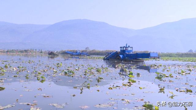 「节日我在岗」坚守岗位 只为异龙湖水清岸绿景美
