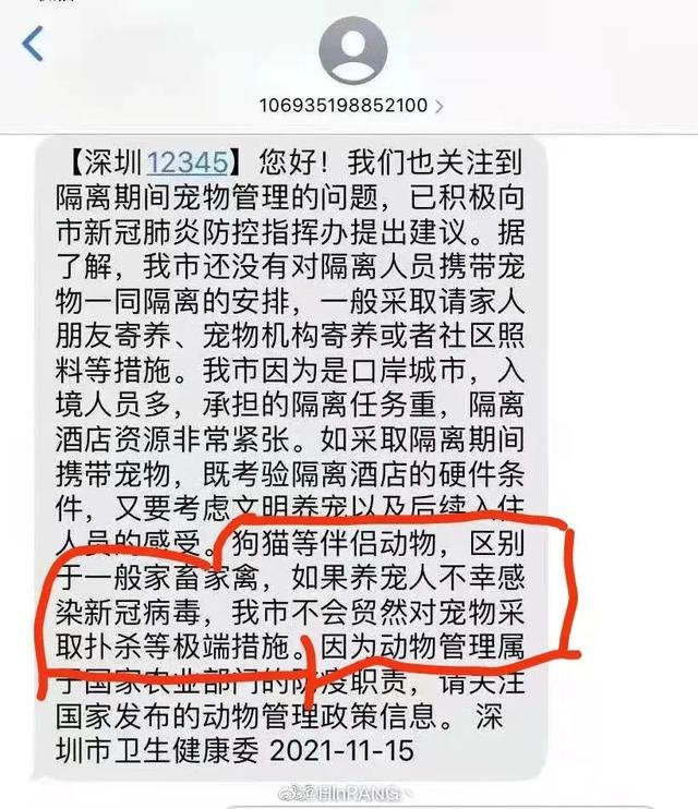 “确诊后，我的猫就要被人道销毁？”