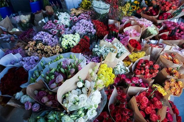 夏天去花市，4类花不要买！花商：不懂的人才喜欢买