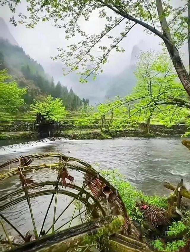 分享 风景如画 山清水秀 风光旖旎 如诗如画 仙境一般美丽 Zh中文网