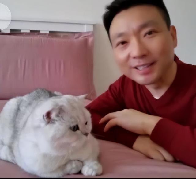 康辉：娶师妹刘雅洁，丁克22年让父母抱憾离世，风光的背后是眼泪