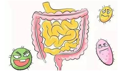 安抚闹脾气的肠道，从饮食上改善这3类肠易激综合症