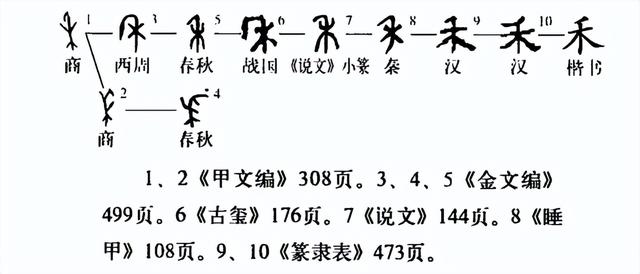 杨字五行属什么（梓字五行属什么属性）插图13