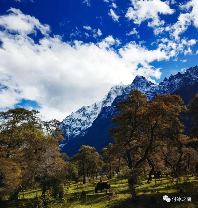 昌都鹅卵石制砂机