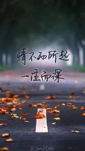 那些经历过却不会表达的情感短句