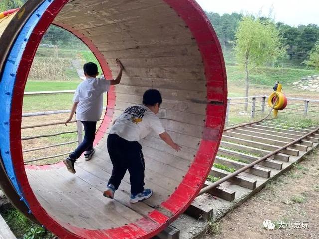 小学生拓展训练的项目有哪些