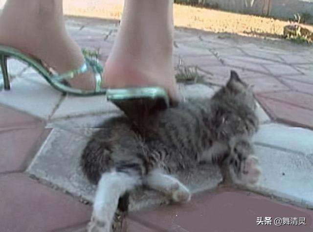 “几个月大的小狗也是婴儿”熊孩子的教育，当从尊重生命开始