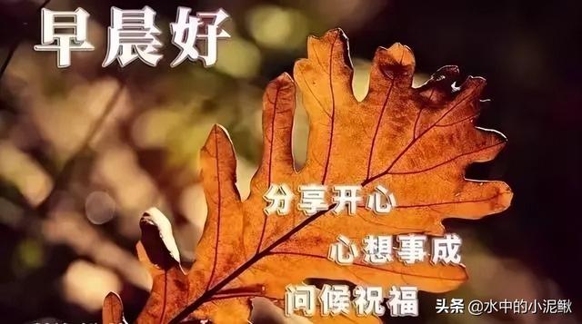 早安正能量励志语录，最新早安语录句子，新的开始