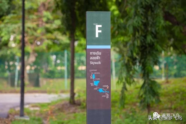泰國旅行新打卡地：曼谷綠肺中央公園完工，市中心的湖景森林濕地
