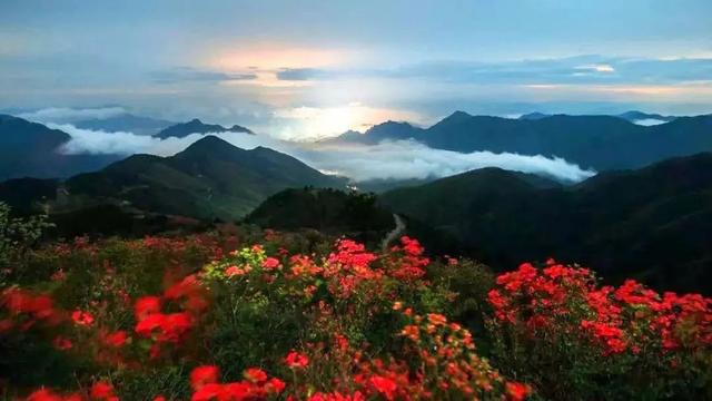 [云端云迅雷代理]，微信如何回复领导安排任务