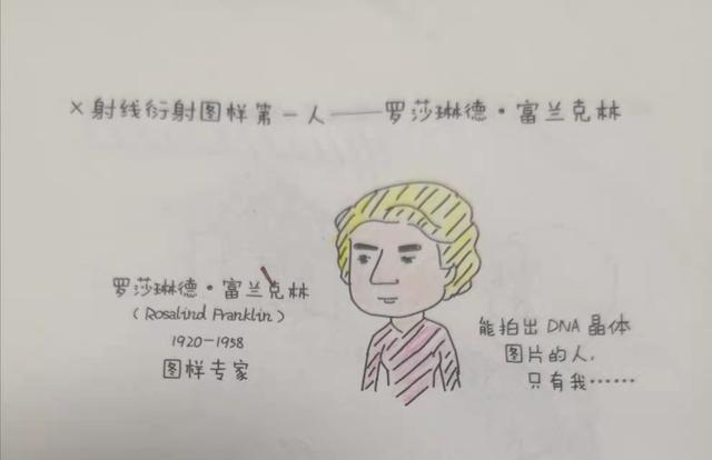 圣诞送给孩子们的知识礼物，妈妈准备好了吗