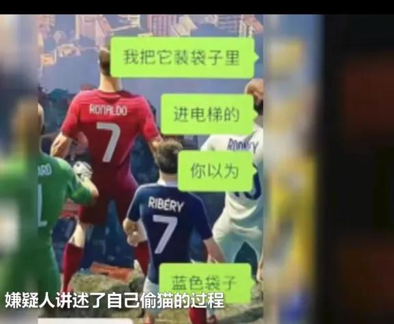 男子因吸猫上瘾，结果“绑架”邻居加菲猫，被抓现行